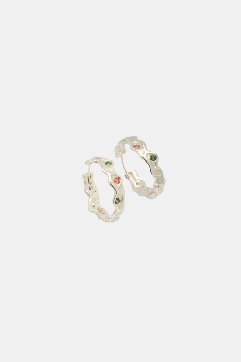 Big Circular Hoops Silver Multi