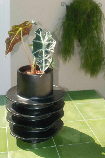 Rafflesia Vase Matt Black